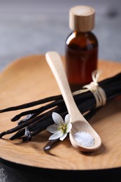 Photo of Spoon with sugar, flower, vanilla pods and bottle of essential oil on grey table, closeup