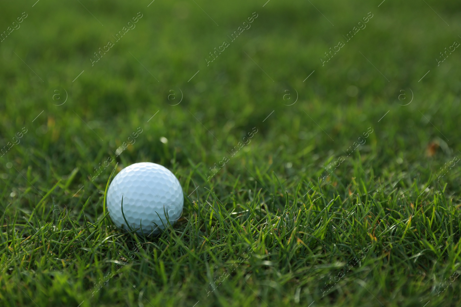 Photo of Golf ball on green course, space for text