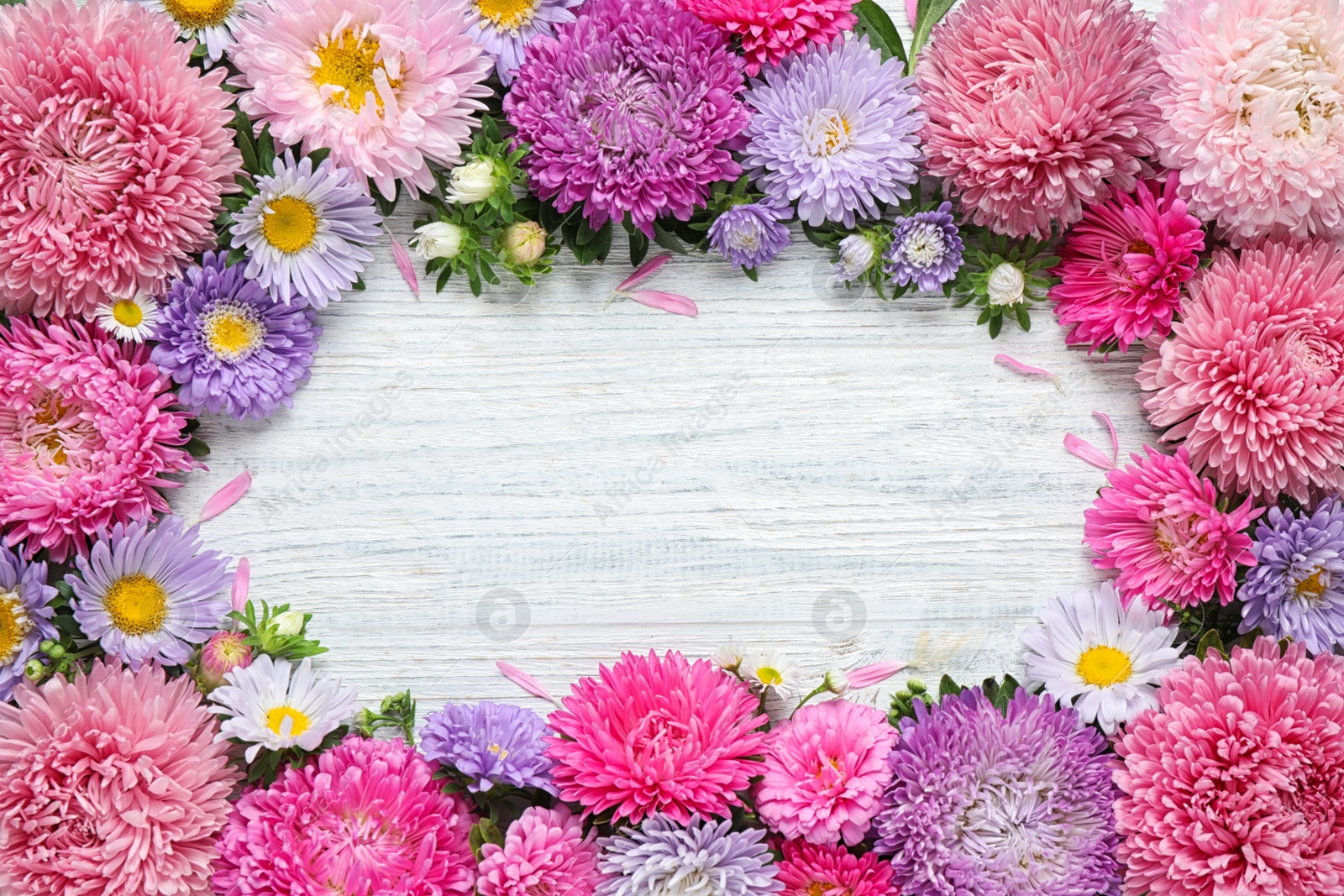 Photo of Frame made of beautiful aster flowers on white wooden table. Space for text