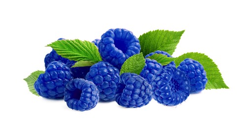 Image of Many fresh blue raspberries and green leaves isolated on white