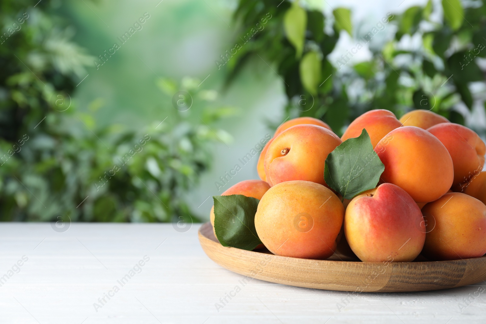 Photo of Many fresh ripe apricots on white table against blurred background. Space for text