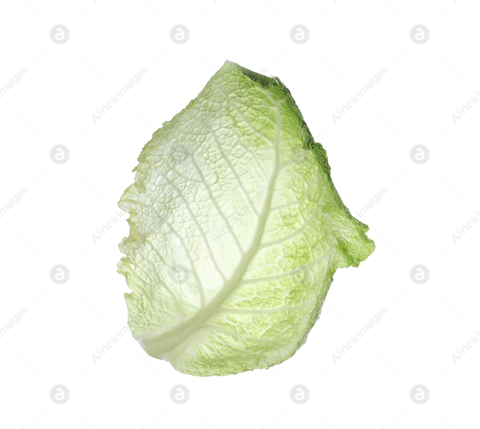 Photo of Green leaf of savoy cabbage isolated on white