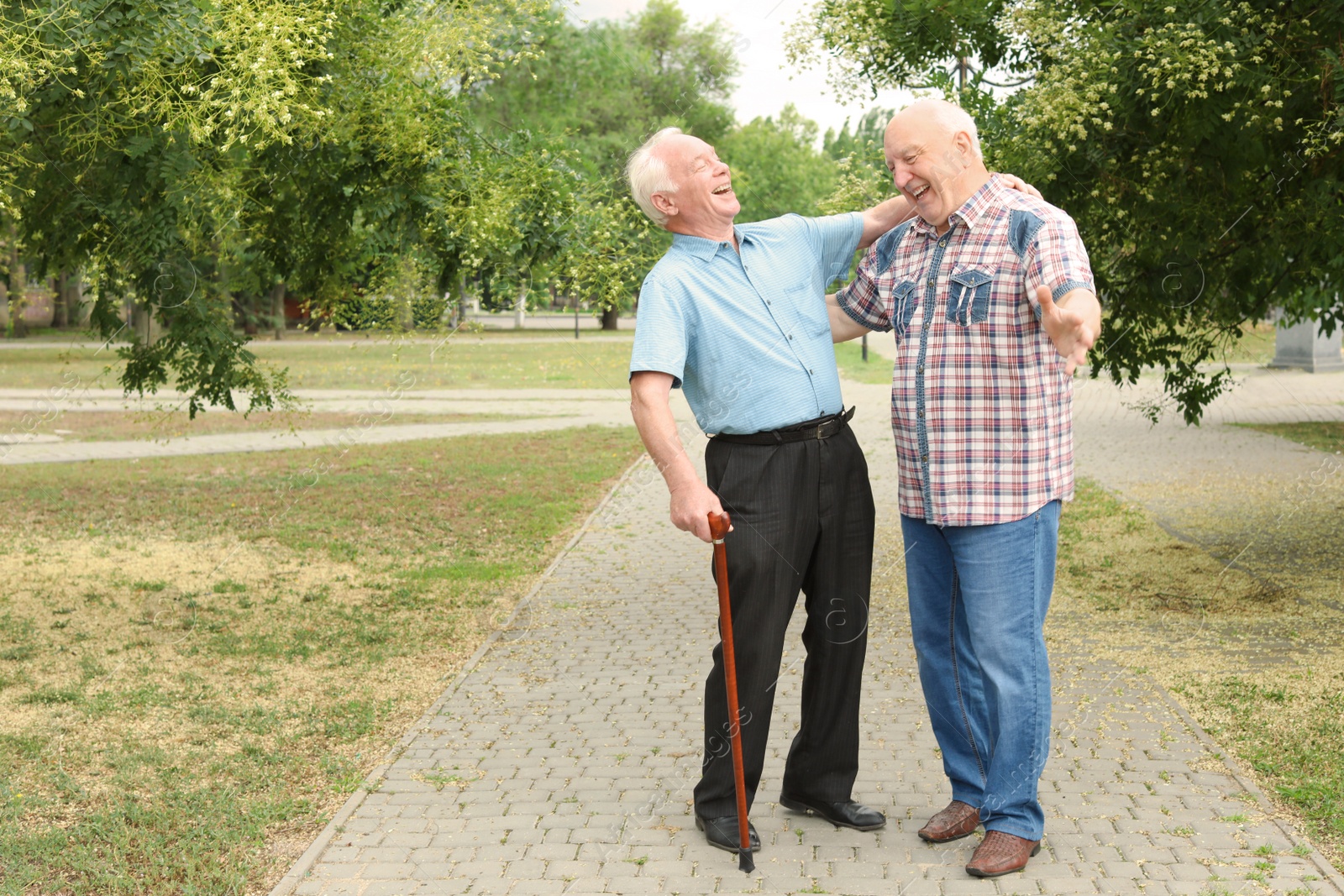 Photo of Elderly men spending time together in park