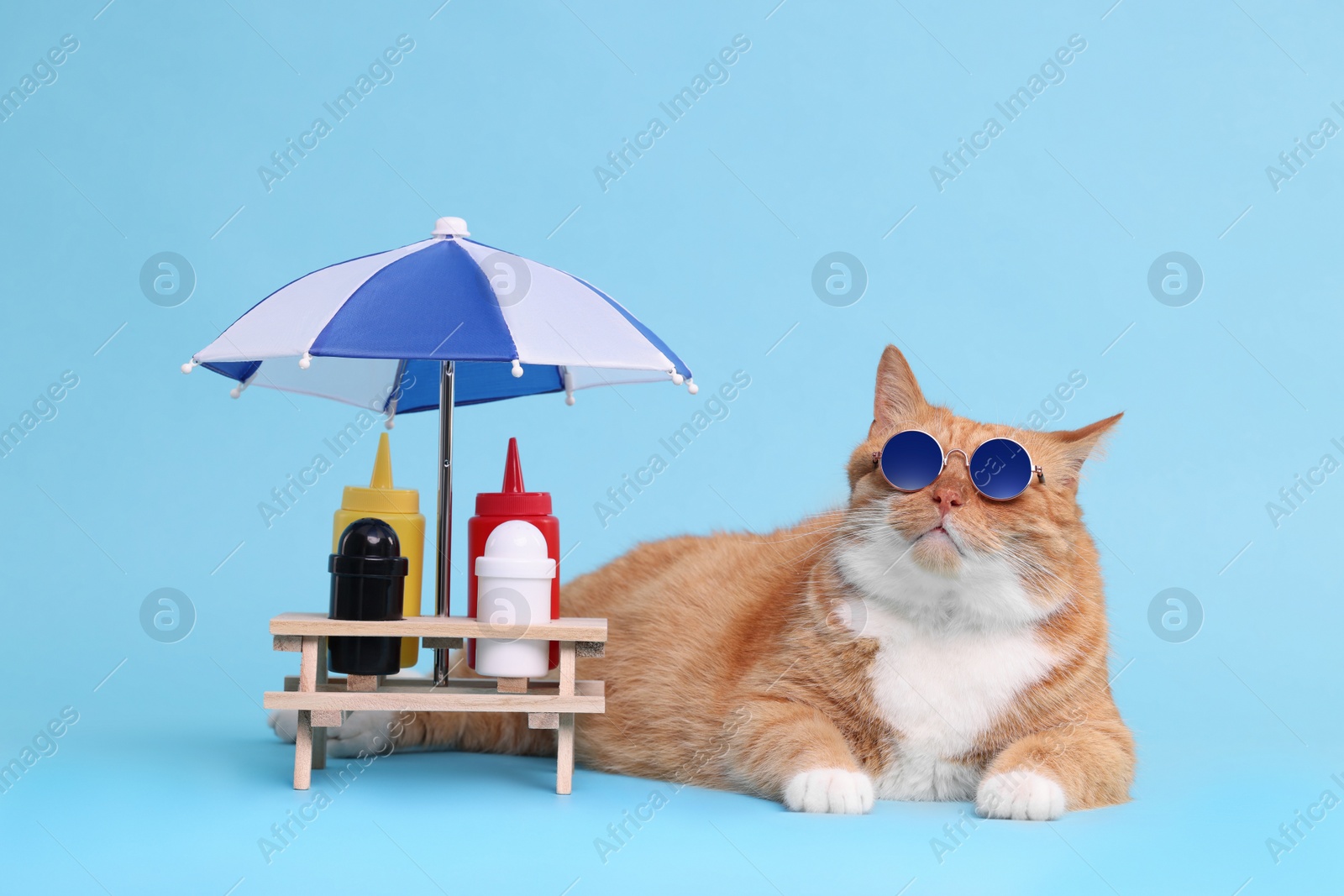 Photo of Cute ginger cat in stylish sunglasses and mini picnic table with umbrella on light blue background