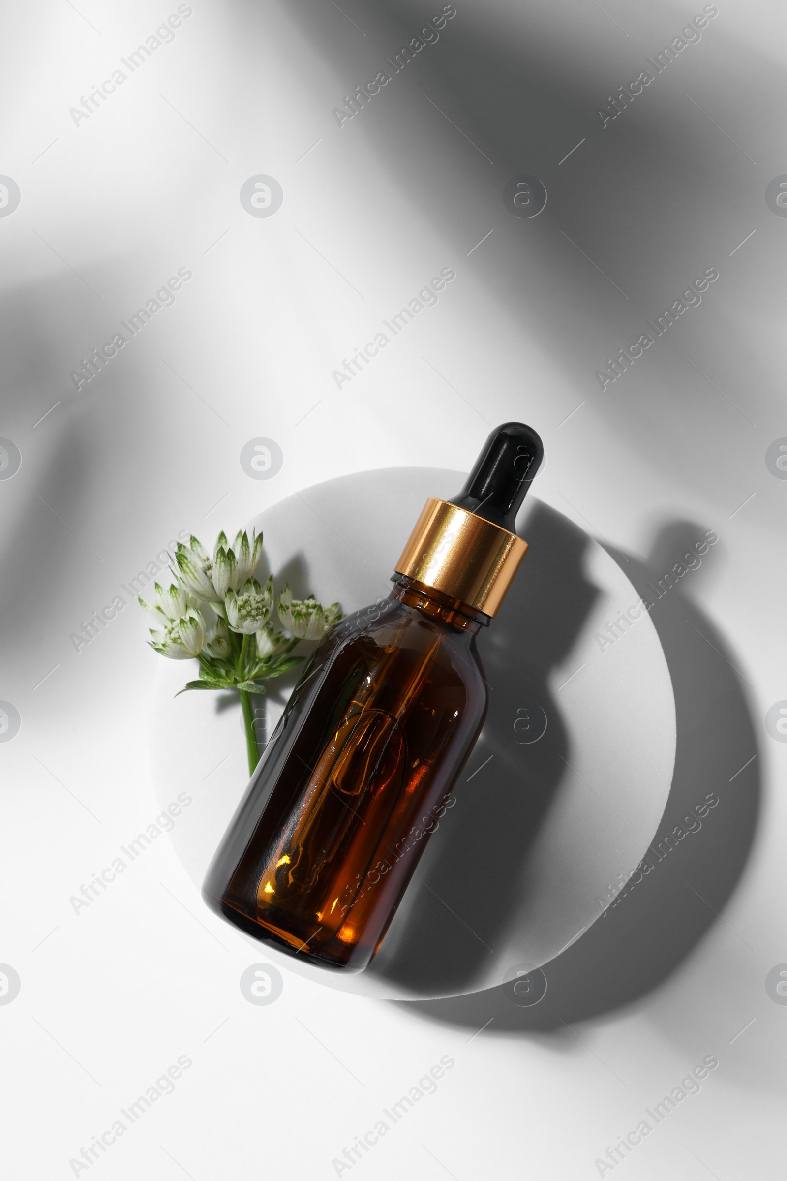Photo of Bottle of cosmetic oil and flower on white background, top view