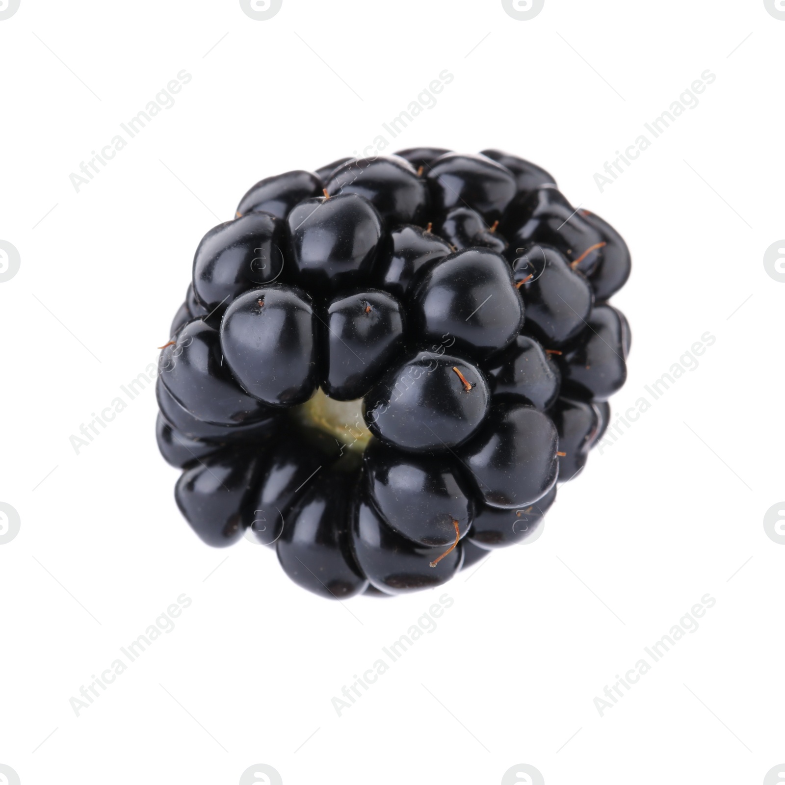 Photo of One tasty ripe blackberry isolated on white