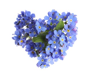 Heart made with blue Forget-me-not flowers isolated on white