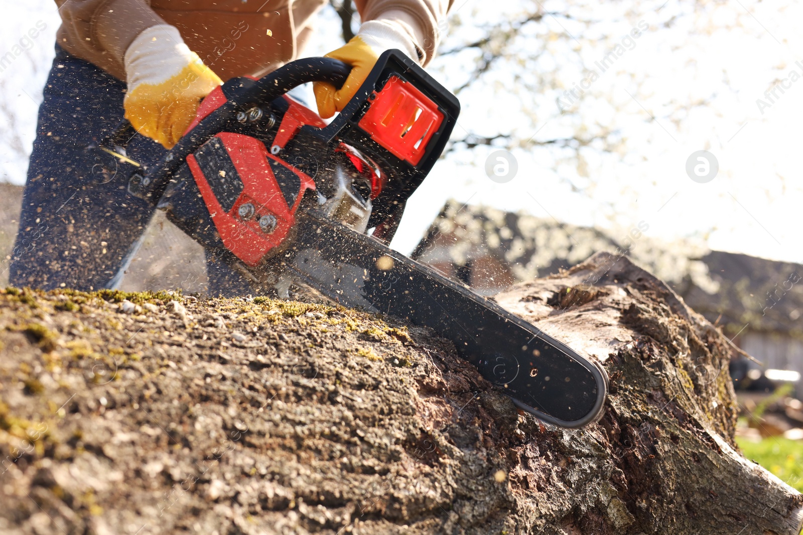 Photo of Man sawing wooden log on sunny day, closeup