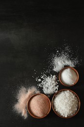 Photo of Different types of organic salt in bowls on black table, flat lay. Space for text