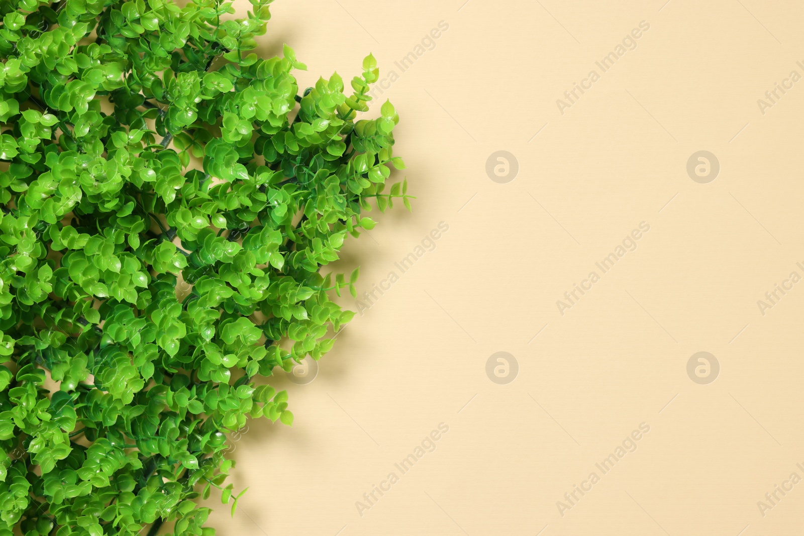 Photo of Green artificial plants on beige background, top view. Space for text