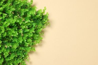 Green artificial plants on beige background, top view. Space for text