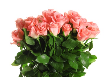 Bouquet of beautiful roses on white background