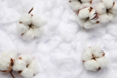 Photo of Cotton flowers on white fluffy background, flat lay Space for text