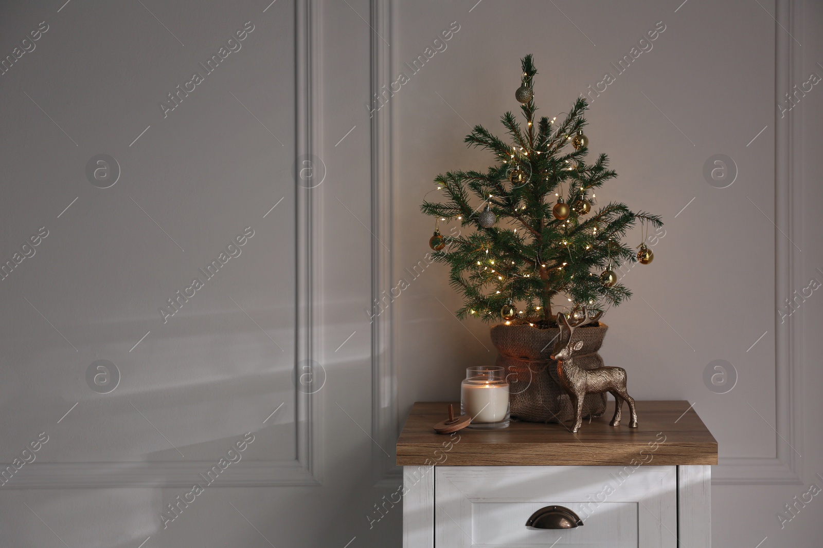 Photo of Chest of drawers with potted fir in room. Interior design