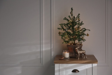 Chest of drawers with potted fir in room. Interior design