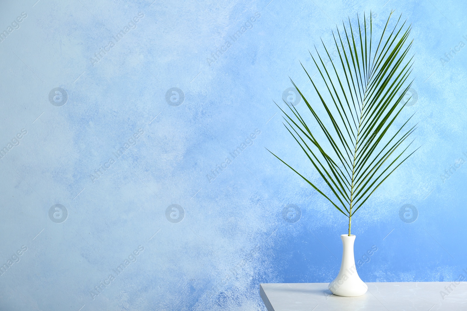 Photo of Vase with tropical Date palm leaf on table. Space for text