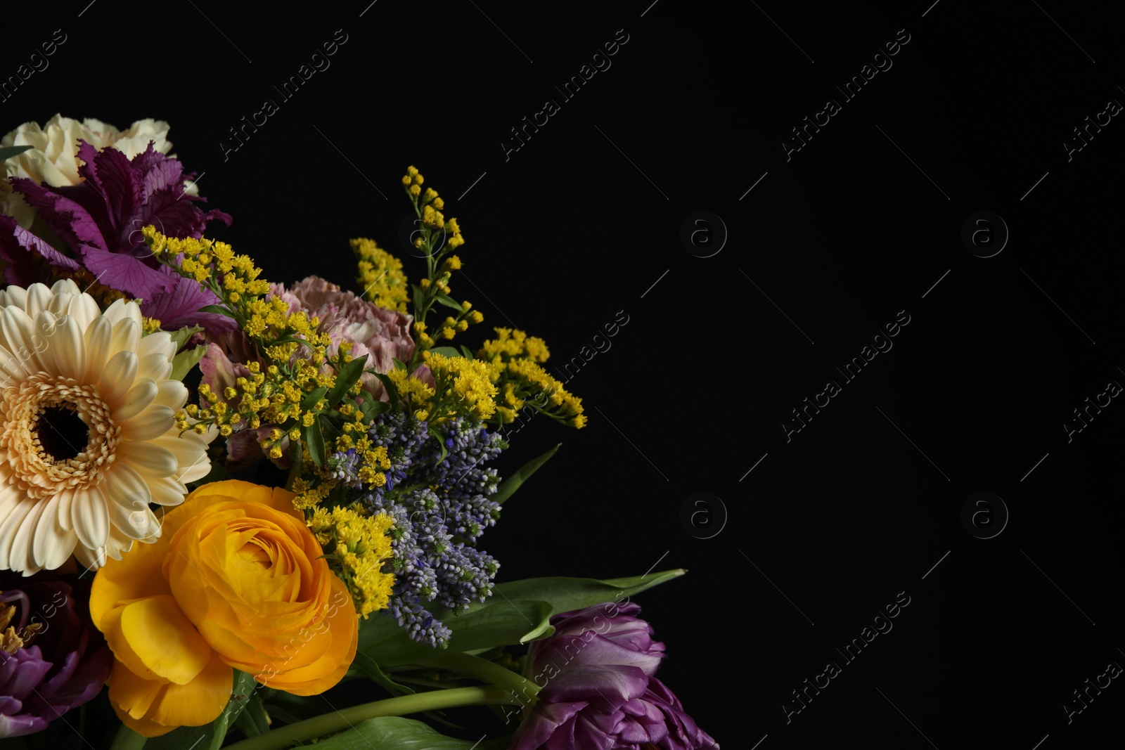 Photo of Beautiful fresh flowers on dark background, closeup with space for text