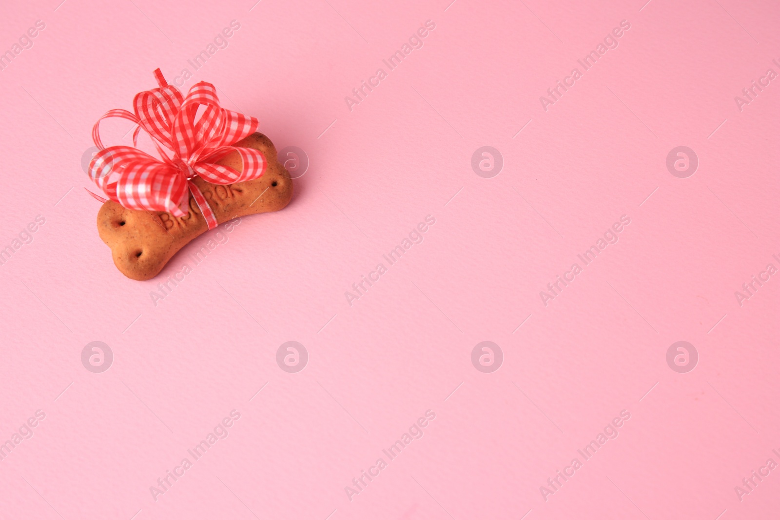 Photo of Bone shaped dog cookie with bright bow on pink background, above view. Space for text