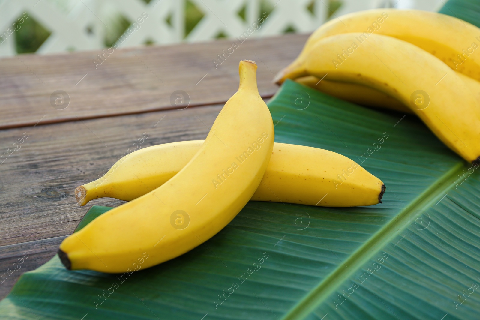 Photo of Delicious bananas and green leaf on wooden table