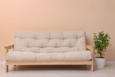 Photo of Comfortable sofa and houseplant indoors. Interior design