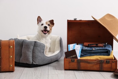 Travel with pet. Dog, clothes, passport, tickets and suitcase indoors