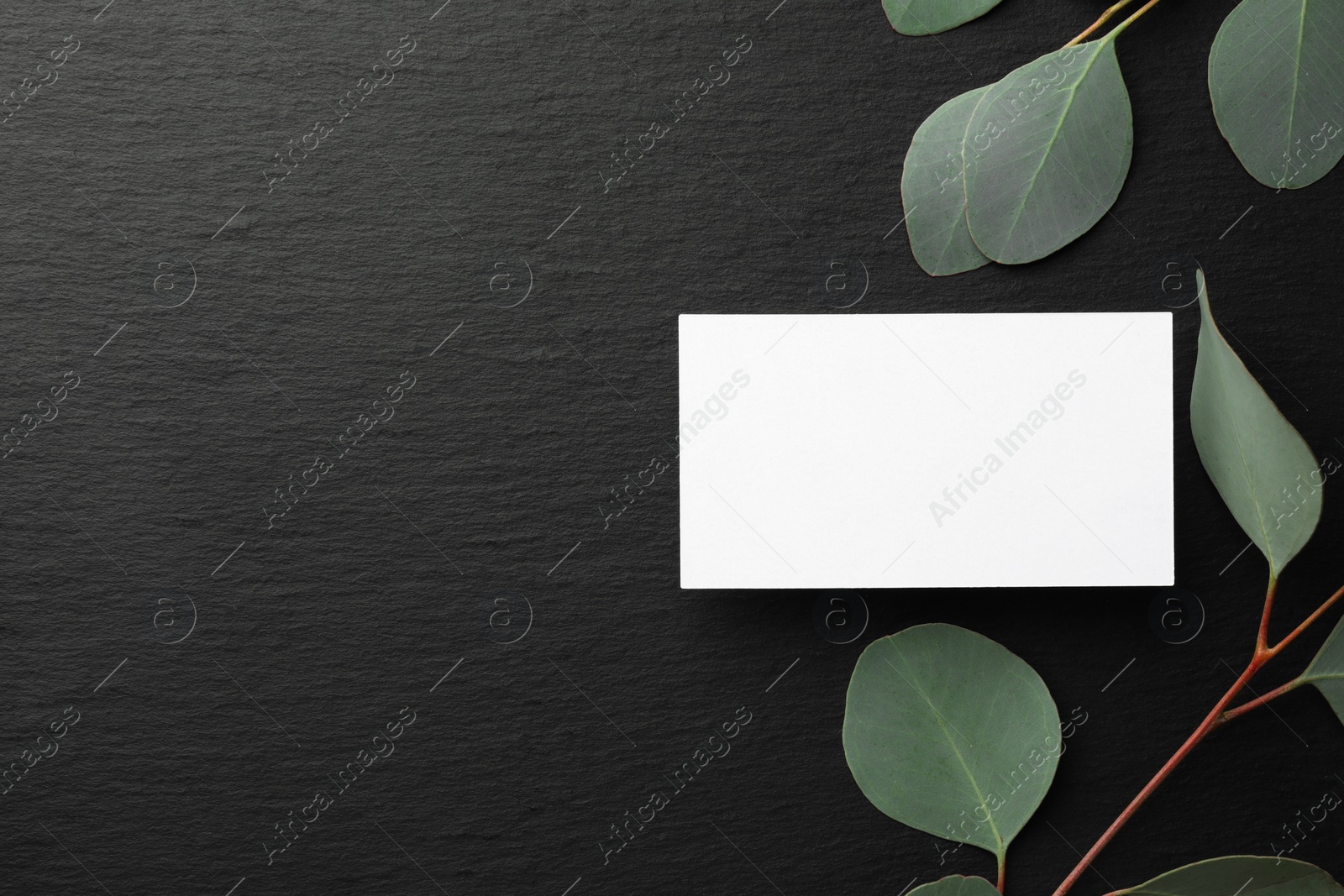 Photo of Blank business card and eucalyptus branches on black background, flat lay. Mockup for design