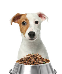 Cute Jack Russel Terrier and feeding bowl with dog food on white background