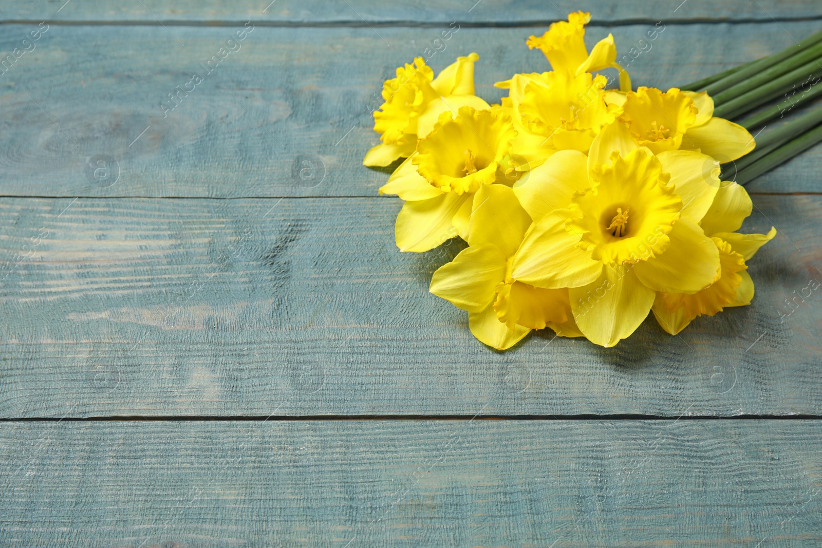 Photo of Bouquet of daffodils on wooden background, space for text. Fresh spring flowers