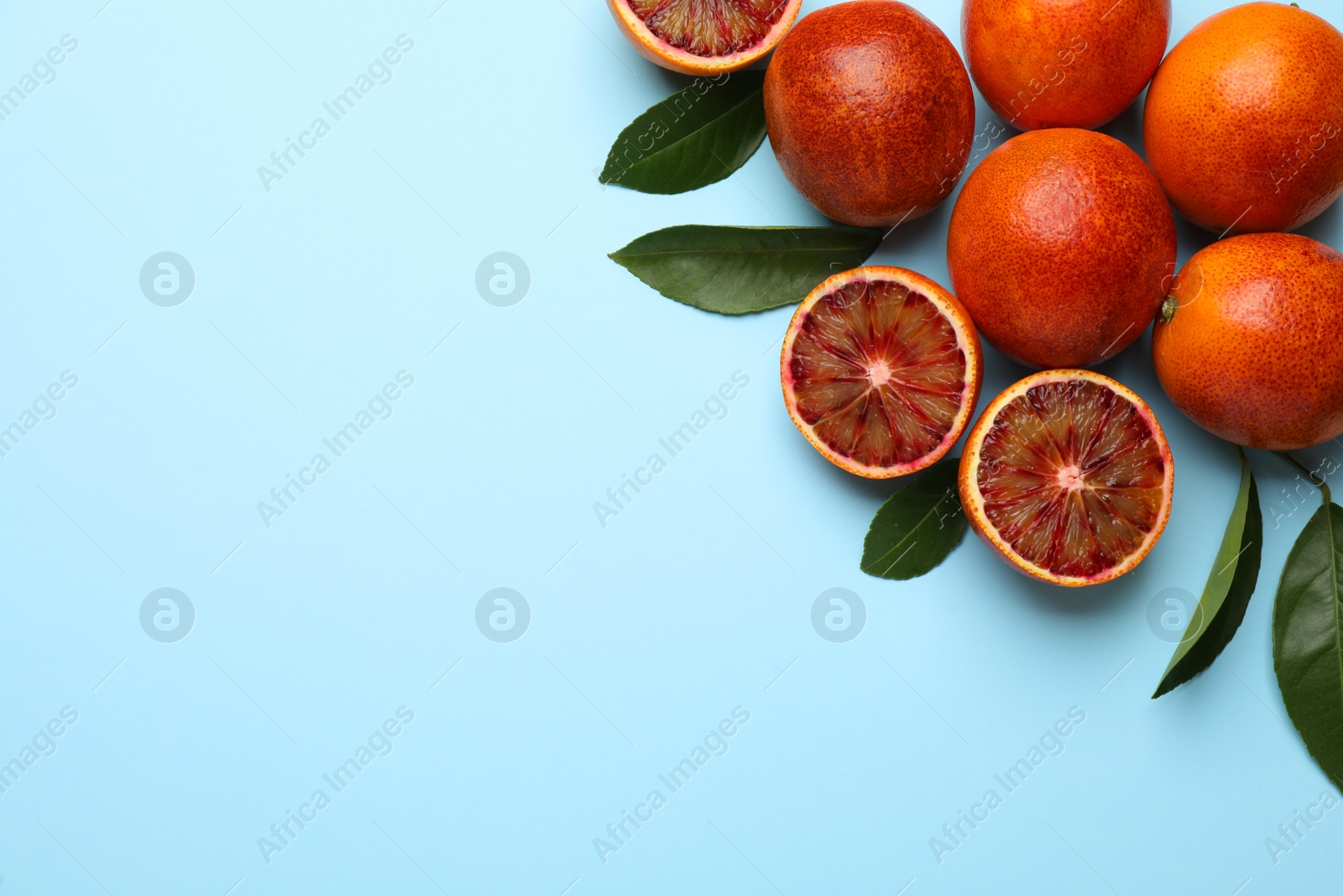 Photo of Many ripe sicilian oranges and leaves on light blue background, flat lay. Space for text