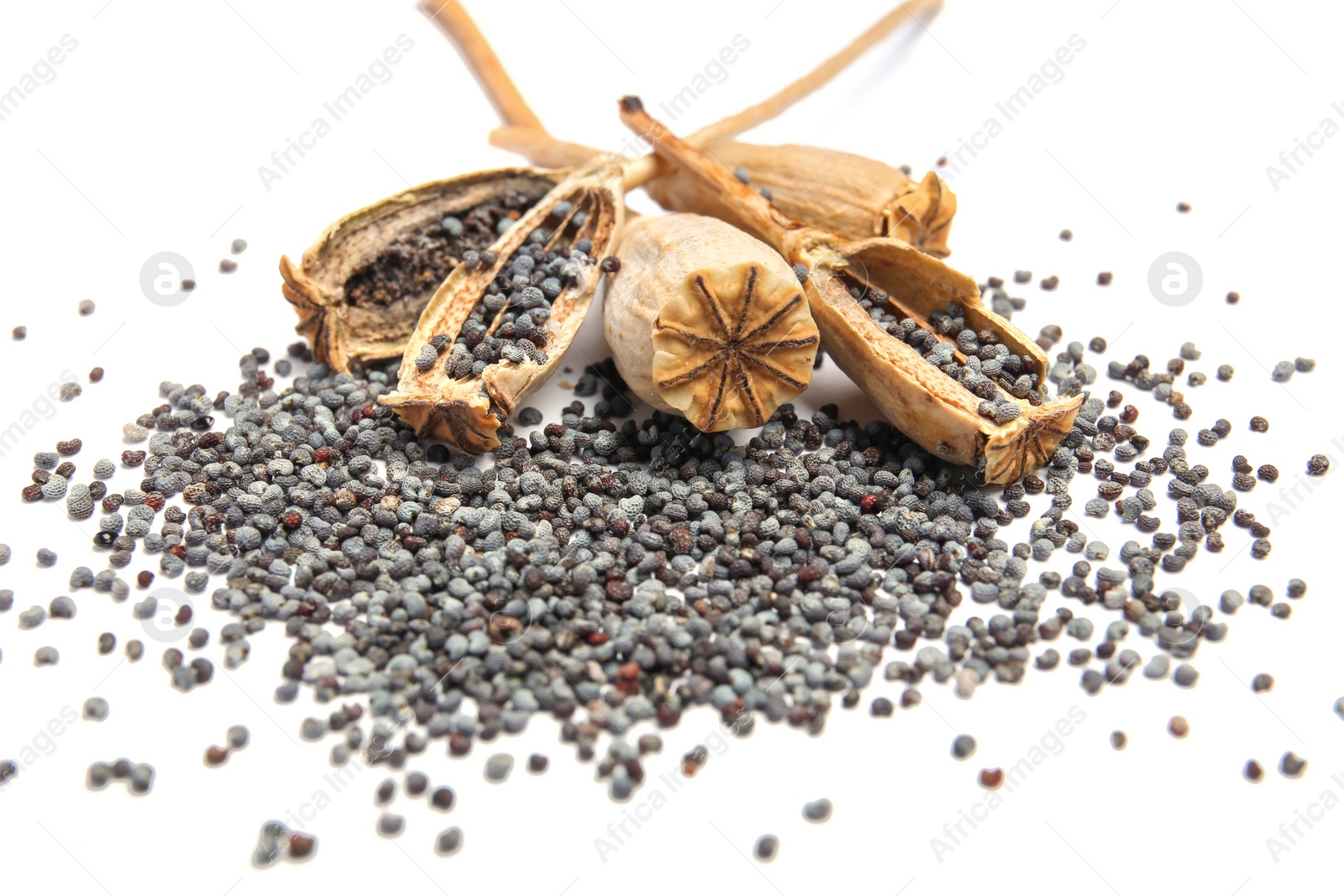 Photo of Dry poppy heads with seeds on white background