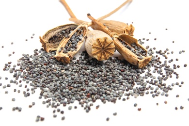 Dry poppy heads with seeds on white background