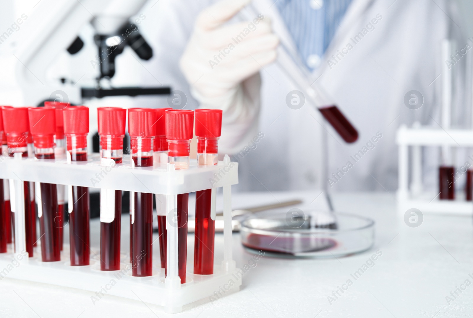 Photo of Scientist working in laboratory, focus on test tubes with blood samples. Virus research