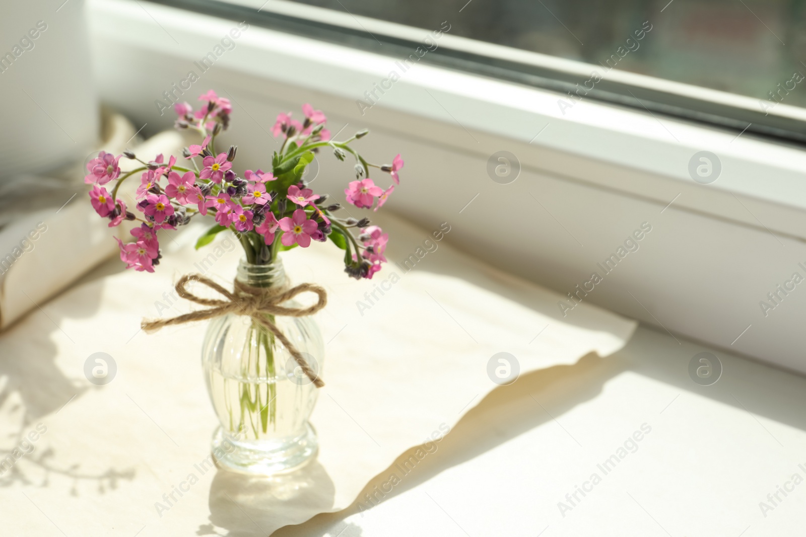 Photo of Beautiful pink forget-me-not flowers in glass bottle on window sill. Space for text