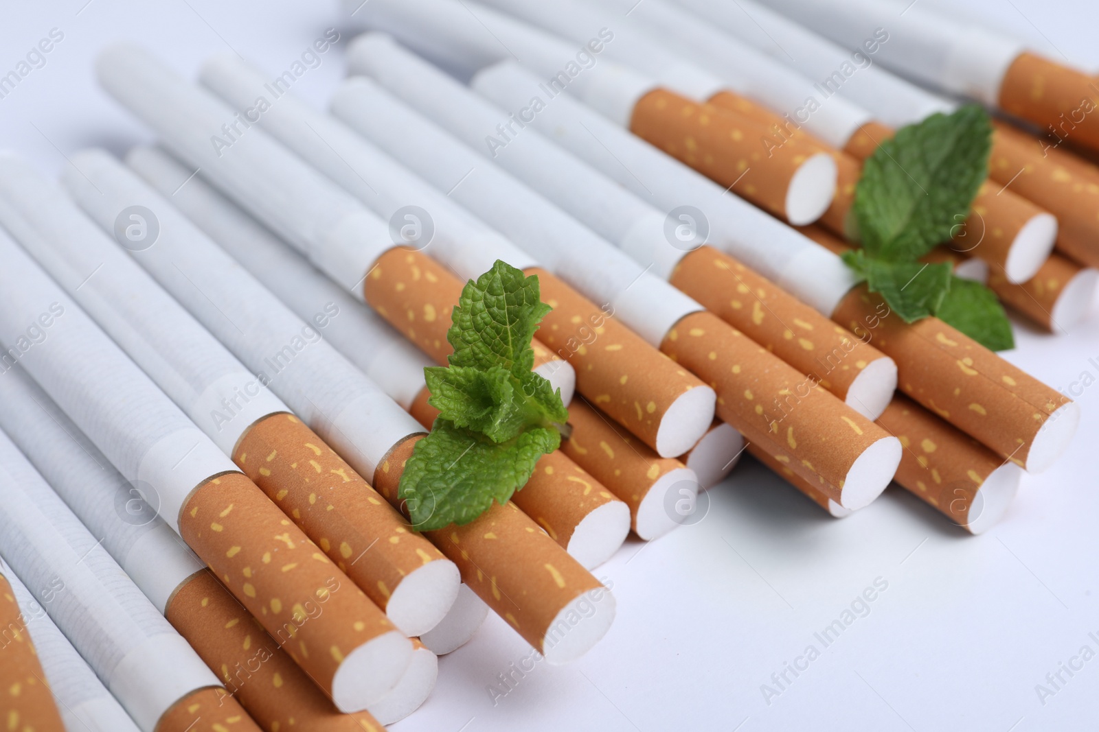 Photo of Menthol cigarettes and fresh mint leaves on white background, closeup