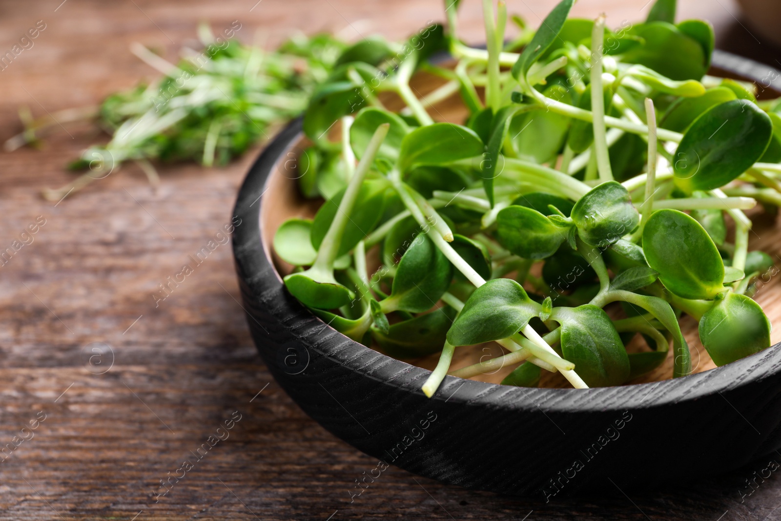 Photo of Bowl with fresh microgreen on wooden table, closeup