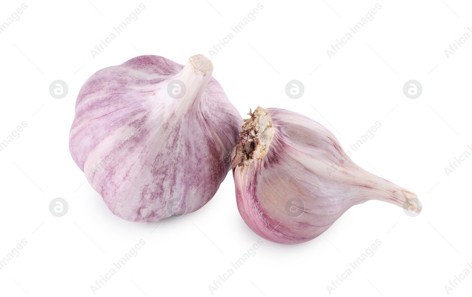 Photo of Fresh raw garlic heads isolated on white