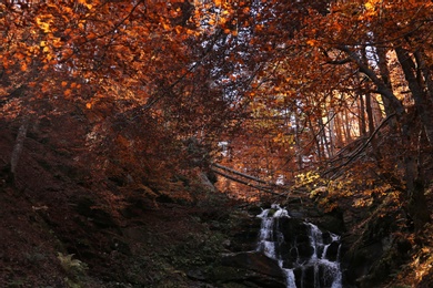 Photo of Beautiful waterfall with stones in autumn forest