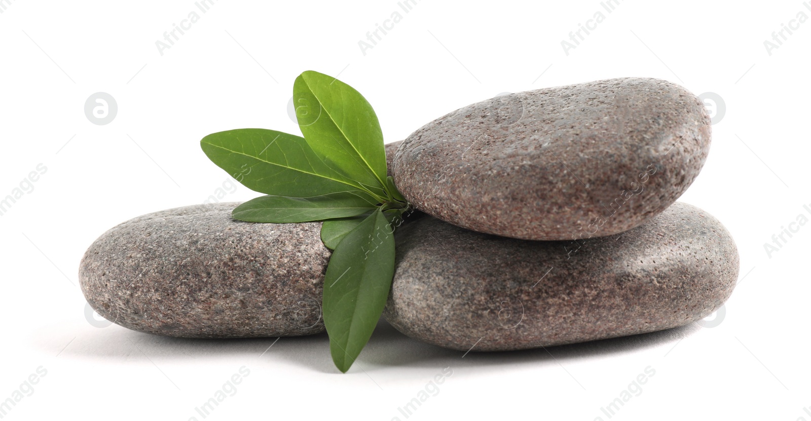 Photo of Spa stones with green branch isolated on white