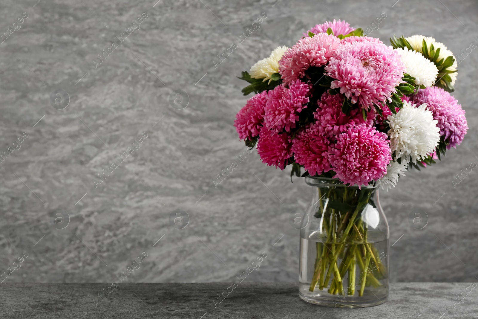 Photo of Beautiful asters in vase on table against grey background, space for text. Autumn flowers