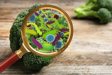 Magnifying glass and illustration of microbes on broccoli. Food poisoning concept  