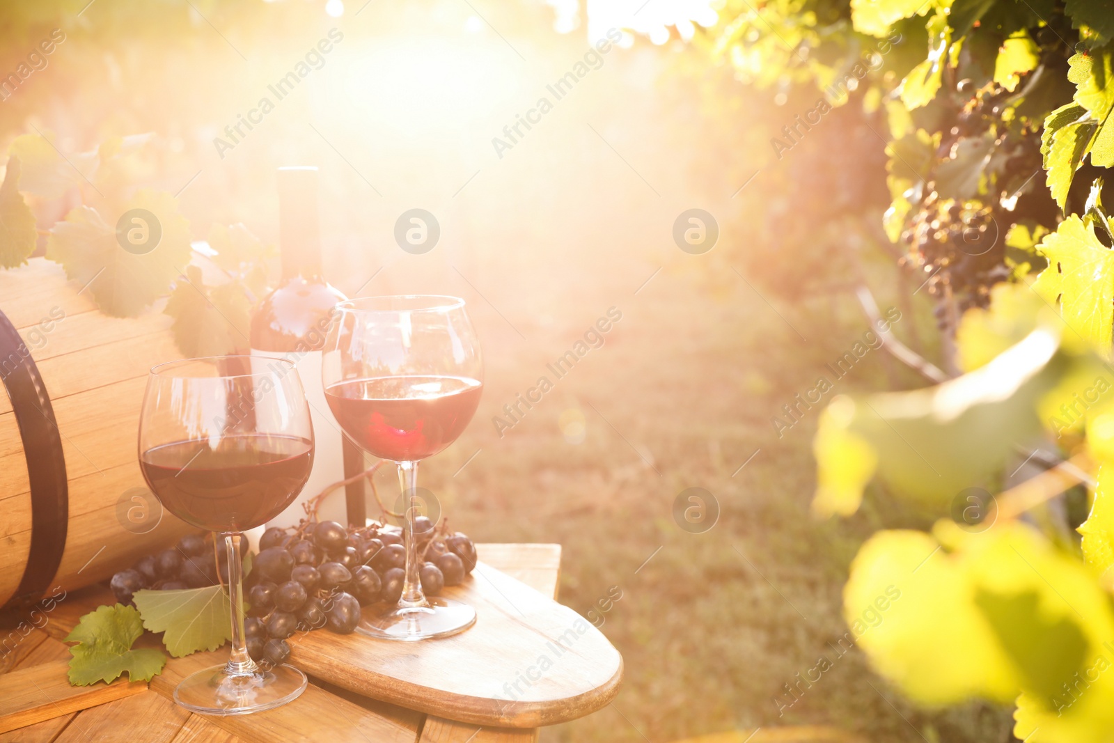 Photo of Composition with wine and ripe grapes on wooden table in vineyard