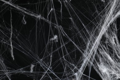 Creepy white spider web on black background