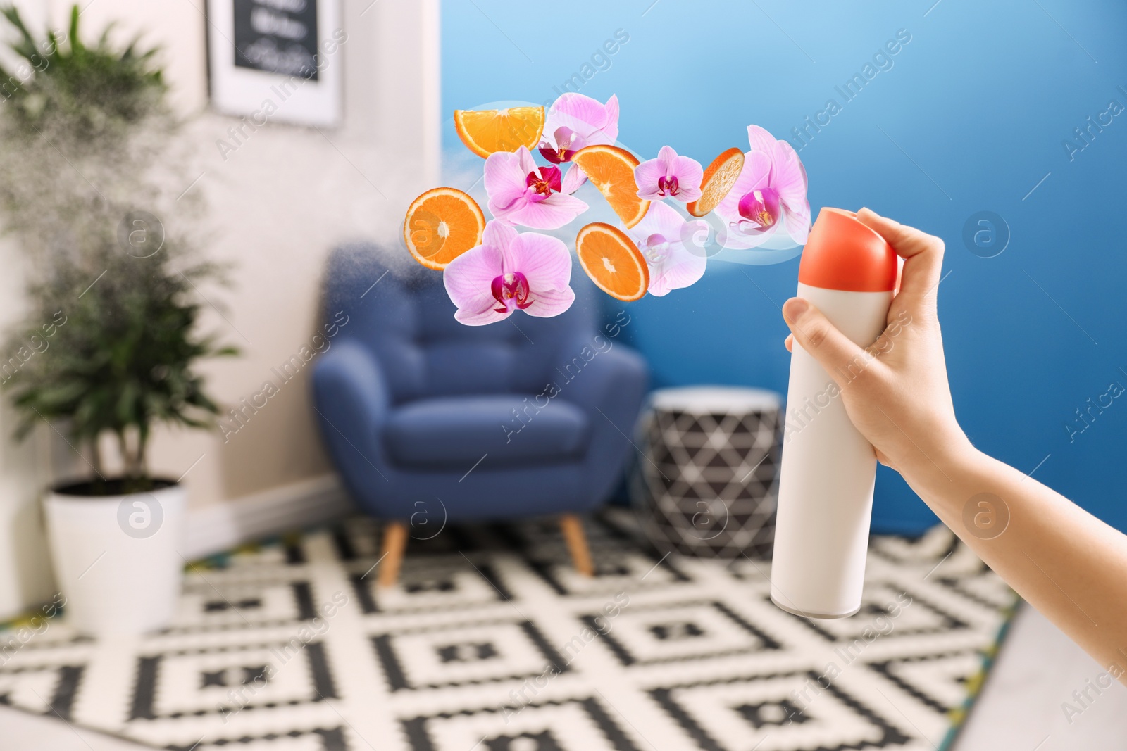 Image of Woman spraying air freshener at home, closeup. Flowered and citrusy aroma