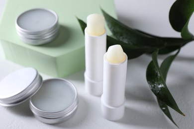 Photo of Different lip balms and leaves on white background, closeup