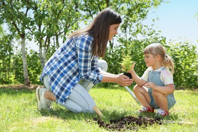 Photo of Mother and her daughter planting tree together in garden