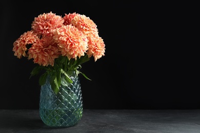 Photo of Beautiful coral dahlia flowers in vase on table against black background. Space for text