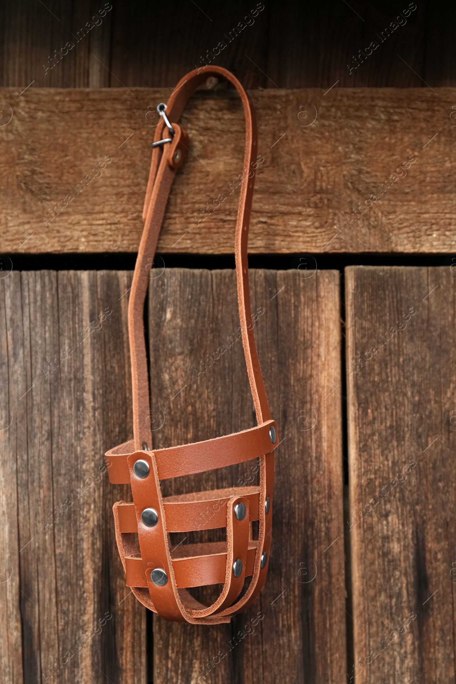 Photo of Brown dog muzzle hanging near wooden fence