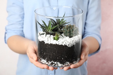 Young woman holding florarium with different succulents on color background, closeup