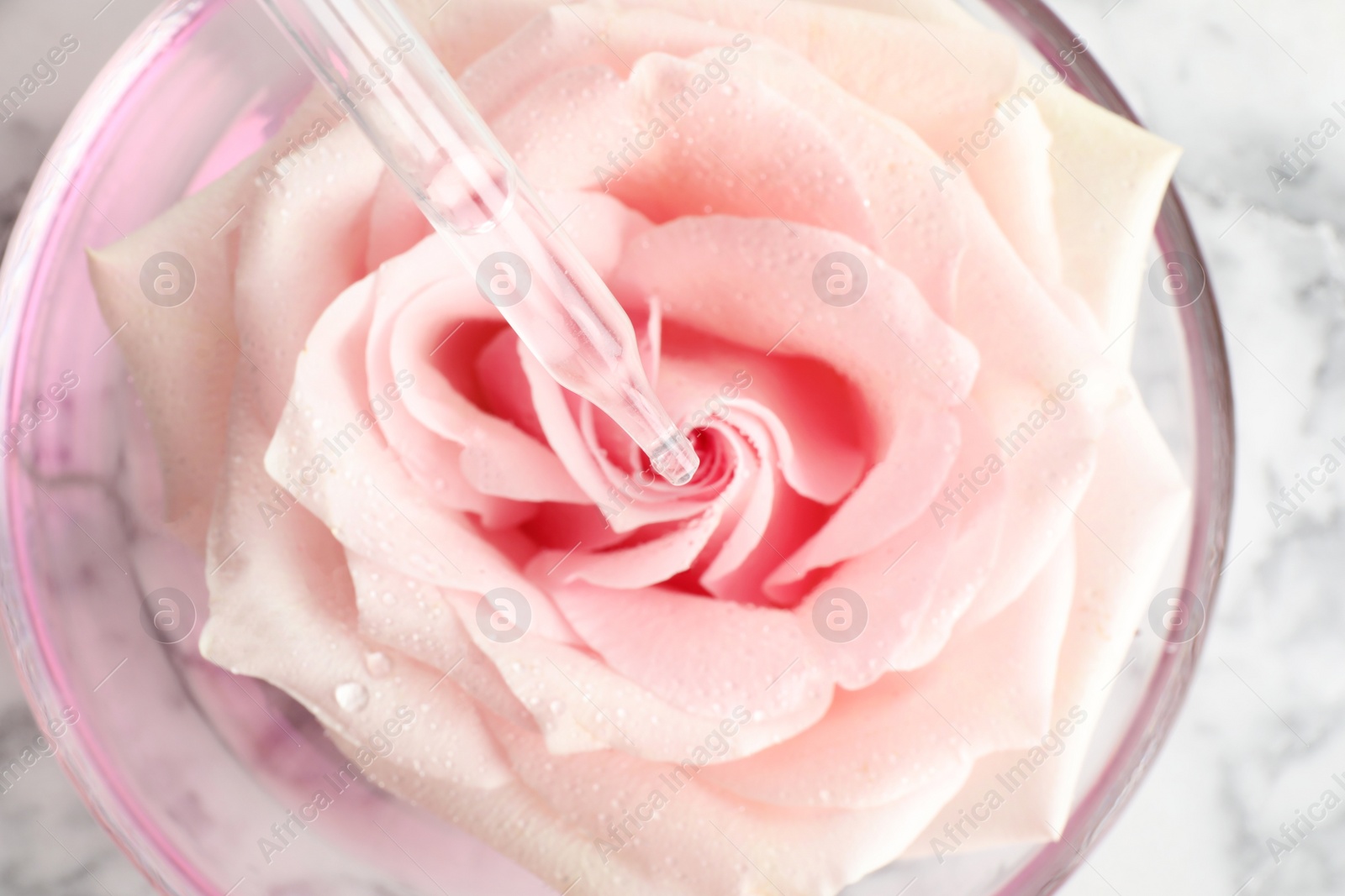 Photo of Dripping essential oil onto fresh rose in glass bowl, top view