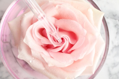 Dripping essential oil onto fresh rose in glass bowl, top view